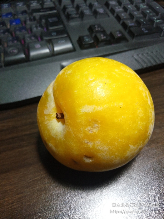 アキヒメ