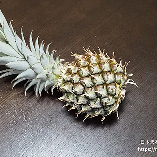 パイナップルの写真